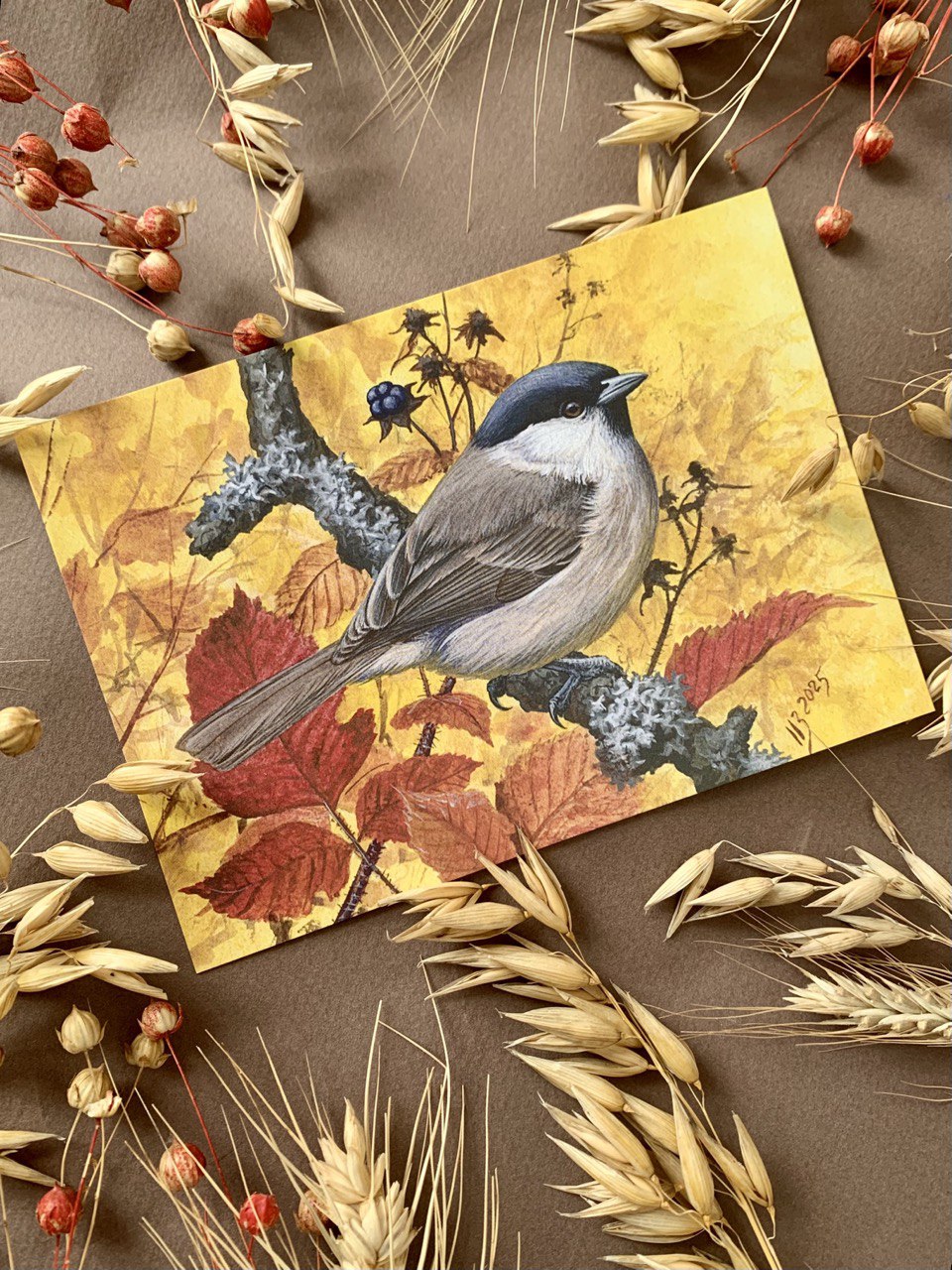 Гаїчка болотяна