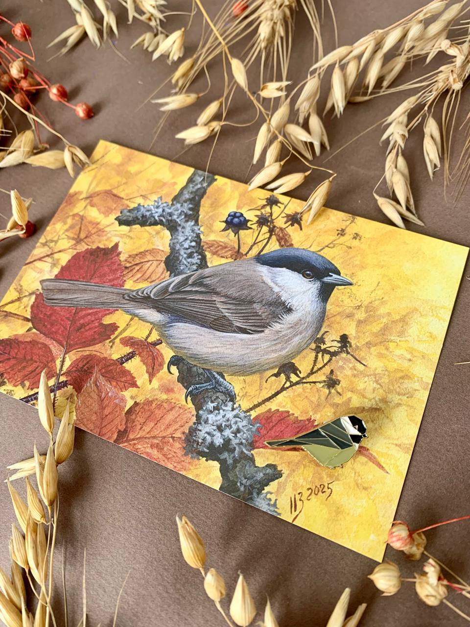 Гаїчка болотяна